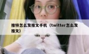 推特怎么发推文手机（twitter怎么发推文）