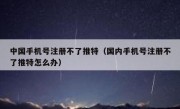 中国手机号注册不了推特（国内手机号注册不了推特怎么办）