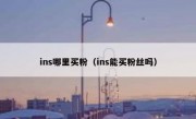ins哪里买粉（ins能买粉丝吗）