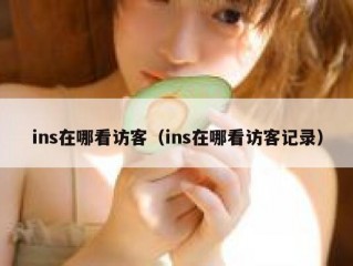 ins在哪看访客（ins在哪看访客记录）