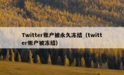 Twitter账户被永久冻结（twitter帐户被冻结）