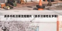派币手机注册流程图片（派币注册姓名步骤）
