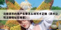 注册派币的用户名要怎么填写才正确（派币公司注册地址在哪里）