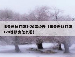 抖音粉丝灯牌1-20等级表（抖音粉丝灯牌120等级表怎么看）