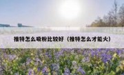 推特怎么吸粉比较好（推特怎么才能火）