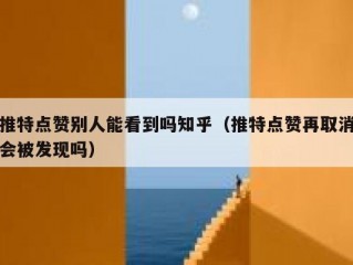 推特点赞别人能看到吗知乎（推特点赞再取消会被发现吗）