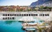抖音里加的粉丝团在哪里看得到呢（抖音加粉丝团怎么看）
