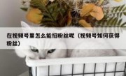 在视频号里怎么能招粉丝呢（视频号如何获得粉丝）