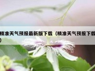 精准天气预报最新版下载（精准天气预报下载）