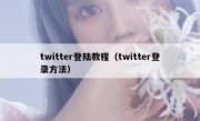 twitter登陆教程（twitter登录方法）