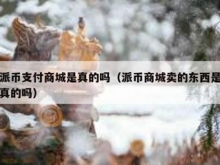 派币支付商城是真的吗（派币商城卖的东西是真的吗）