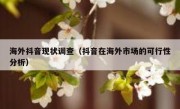 海外抖音现状调查（抖音在海外市场的可行性分析）