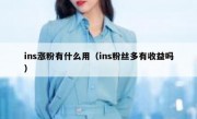 ins涨粉有什么用（ins粉丝多有收益吗）