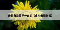 云服务器是干什么的（虚拟云服务器）