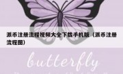 派币注册流程视频大全下载手机版（派币注册流程图）