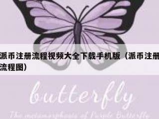 派币注册流程视频大全下载手机版（派币注册流程图）