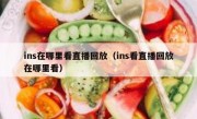 ins在哪里看直播回放（ins看直播回放在哪里看）