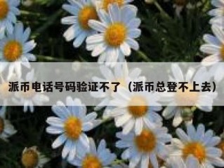派币电话号码验证不了（派币总登不上去）