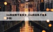 ins粉丝数千是多少（ins粉丝数千是多少钱）