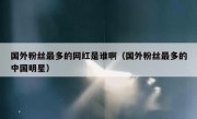 国外粉丝最多的网红是谁啊（国外粉丝最多的中国明星）