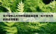 支付宝他人代付的钱退回来在哪（支付宝代付的钱退到哪里）