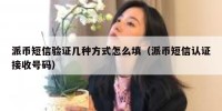 派币短信验证几种方式怎么填（派币短信认证接收号码）