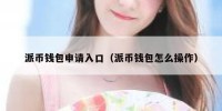 派币钱包申请入口（派币钱包怎么操作）