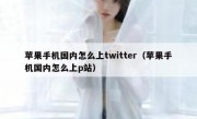 苹果手机国内怎么上twitter（苹果手机国内怎么上p站）