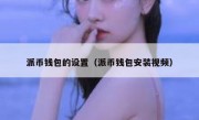 派币钱包的设置（派币钱包安装视频）