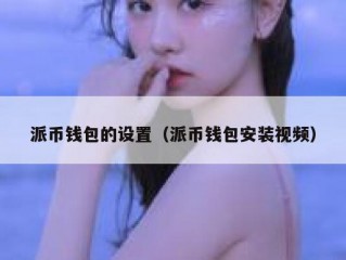派币钱包的设置（派币钱包安装视频）