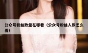公众号粉丝数量在哪看（公众号粉丝人数怎么看）