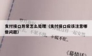支付接口异常怎么处理（支付接口应该注意哪些问题）