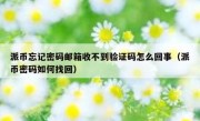 派币忘记密码邮箱收不到验证码怎么回事（派币密码如何找回）