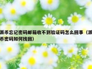 派币忘记密码邮箱收不到验证码怎么回事（派币密码如何找回）