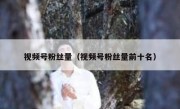 视频号粉丝量（视频号粉丝量前十名）