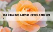 公众号粉丝多怎么赚钱的（微信公众号粉丝多）