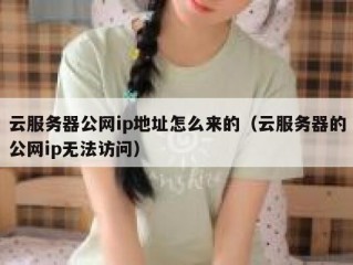 云服务器公网ip地址怎么来的（云服务器的公网ip无法访问）