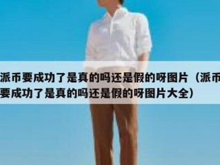 派币要成功了是真的吗还是假的呀图片（派币要成功了是真的吗还是假的呀图片大全）