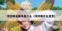 河对岸云服务是什么（河对岸什么意思）