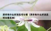 派币有什么好消息可以看（派币有什么好消息可以看出来）