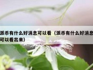 派币有什么好消息可以看（派币有什么好消息可以看出来）