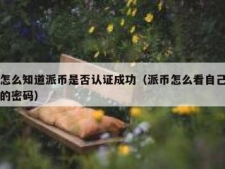 怎么知道派币是否认证成功（派币怎么看自己的密码）