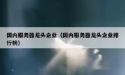 国内服务器龙头企业（国内服务器龙头企业排行榜）