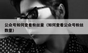公众号如何查看粉丝量（如何查看公众号粉丝数量）