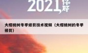 大樱桃树冬季修剪技术视频（大樱桃树的冬季修剪）