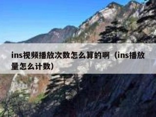 ins视频播放次数怎么算的啊（ins播放量怎么计数）