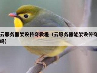 云服务器架设传奇教程（云服务器能架设传奇吗）