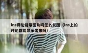 ins评论能带图片吗怎么发图（ins上的评论都能显示出来吗）