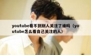 youtube看不到别人关注了谁吗（youtube怎么看自己关注的人）
