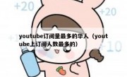 youtube订阅量最多的华人（youtube上订阅人数最多的）